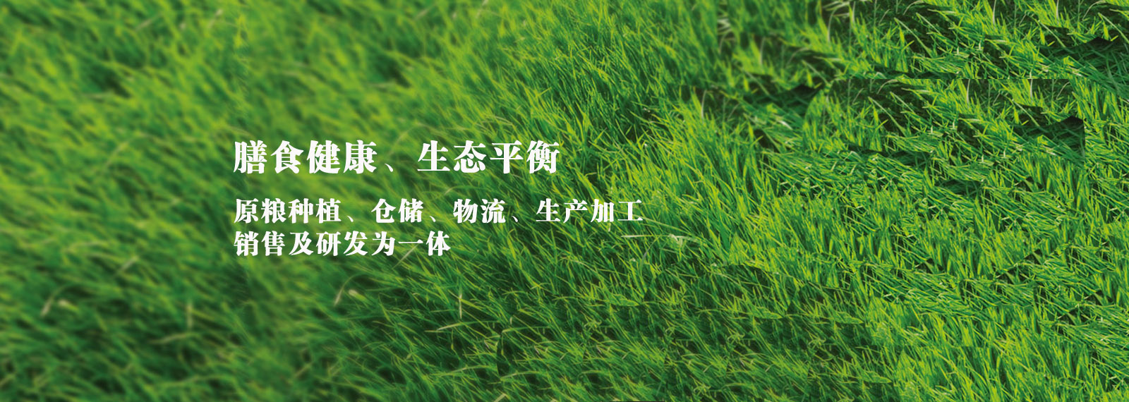 url(http://www.ke336.com/style/banner1.jpg)